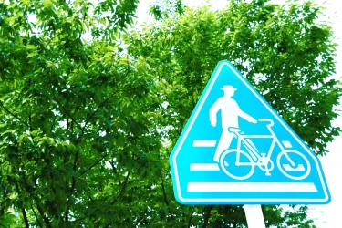 【自転車横断帯】標識や自転車専用道路との違いなどを解説！